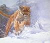 [Elon Animal Scans] Painted by John Seerey-Lester, Cougar Run