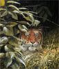 [Elon Animal Scans] Painted by John Seerey-Lester, The Rains (Tiger)