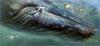 [Elon Animal Scans] Painted by Linda Thompson, Follow The Leader (Whale and Penguins)