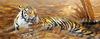 [Elon Animal Scans] Painted by Matthew Hillier, Reclining Tiger