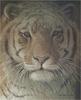 [Elon Animal Scans] Painted by Robert Bateman, Tiger At Dusk