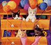 [GrayCreek Scans - 2002 Calendar] Curious Cats