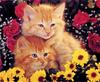 [GrayCreek Scans - 2002 Calendar] Kittens