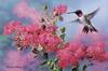 [FlowerChild scans - Wildlife-Birds] Painted by Russell Cobane, Gathering Nectar (Hummingbird)