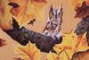 [FlowerChild scans - Wildlife-Birds] Painted by Beatrice Hanradt-Sansocie, Autumn's Gold (Long-e...