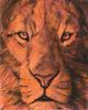 [FlowerChild scans] Painted by Arthur Wilson, Thought (Big Cat's eyes)