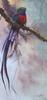 [FlowerChild scans] Painted by Gamini Ratnavira, Jewel of the Emerald Forest (Quetzal)