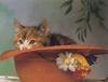 [FlowerChild scans] Cat