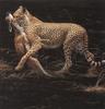 [FlowerChild scans] Painted by Robert Bateman, Cheetah and Thompson's Gazelle Kill
