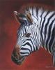 [FlowerChild scans] Painted by Sallie Davis, Domara Zebra
