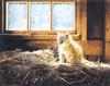 [FlowerChild scans] Painted by Sueellen Ross, Barn Kitten