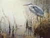 [FlowerChild scans] Painted by Robert Bateman, Great Blue Heron