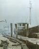 [FlowerChild scans] Painted by Robert Bateman, The Sarah E and Gulls