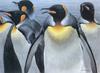 [FlowerChild scans] Painted by Robert Bateman, King Penguins