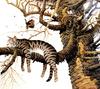 [FlowerChild scans] Charles Wysocki - 2002 Cat Calendar