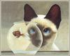 [FlowerChild scans] Lowell Herrero - 2002 Cat Calendar