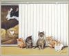 [FlowerChild scans] Lowell Herrero - 2002 Cat Calendar