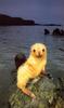 [NG Paraisos Olvidados] Baby Seal