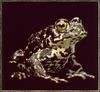 [Sj scans - Critteria 1] Black Toad