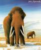 [Sj scans - Critteria 2]  Hairy Mammoth