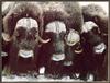 [Sj scans - Critteria 2]  Musk Ox