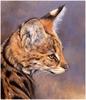 [CameoRose scan] Painted by Edward Aldrich, Serval Portrait