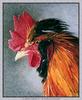 [CameoRose scan] Painted by Rita Sue Powell, Ruffled Feathers