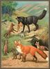 [CameoRose scan] Painted by Walter Webber, Alaska Red Fox