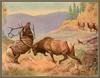 [CameoRose scan] Painted by Walter Webber, American Elk Or Wapiti