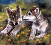 CPerrien scan] Paintings of Lesley Harrison - 2002 Calendar, The Spirit of Wolves