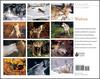 [CPerrien scan] Wolves - A Sierra Club 2000 Calendar: Back
