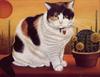 [LRS Art Medley] Lowell Herrero, Cats (Aug, 1995)