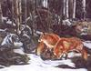 [LRS Art Medley] Judy Larson, Where wolves