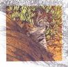 [LRS Art Medley] Bev Doolittle, Bobcat