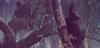 [LRS Art Medley] Robert Bateman, Chimpanzees