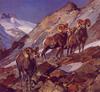 [LRS Art Medley] Carl Rungius, Among the Crags