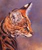 [LRS Art Medley] Edward Aldrich, Serval