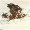 [LRS Art Medley] Bev Doolittle, Eagle's Flight