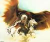 [LRS Art Medley] Bev Doolittle, Rushing War Eagle