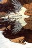 [LRS Art Medley] Bev Doolittle, Season of the Eagle