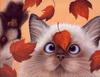 [LRS Art Medley] Lowell Herrero, Cats