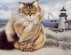 [LRS Art Medley] Lowell Herrero, Cats