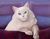 [LRS Art Medley] Lowell Herrero, Cats