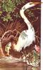 [LRS Art Medley] Charles Santore, A Heron