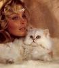 [LRS Art Medley] Vavra's Cats, Shaded Silver & Bo Derek