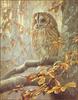[LRS Animals In Art] Robert Bateman, Tawny Owl in Beech