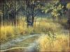 [LRS Animals In Art] Robert Bateman, Cottage Lane Red Fox