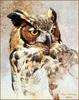 [LRS Animals In Art] Robert Bateman, Great Horned Owl