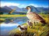 [LRS Animals In Art] Patrick Ching, Hawaii Duck Stamp
