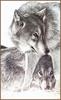 [LRS Animals In Art] Germana Conca, Wolves